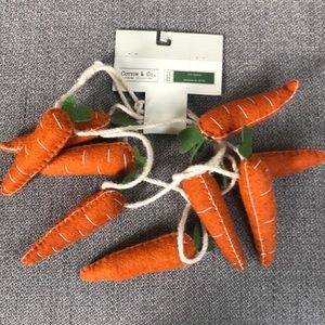 9 Felt carrot on 6’ twine garland